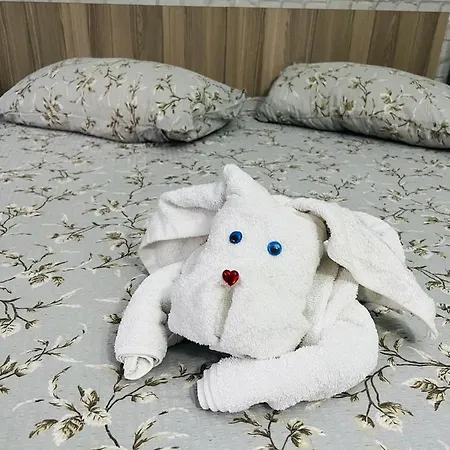 Kla House * Constanţa